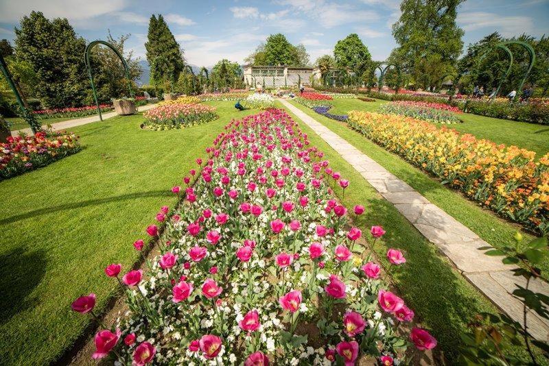 Villetta Primavera Вербанія Екстер'єр фото