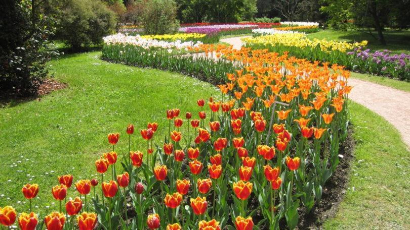 Villetta Primavera Вербанія Екстер'єр фото